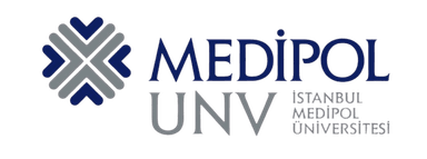 Istanbul Medipol University